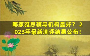 哪家雅思辅导机构最好？ 2023年最新测评结果公布！